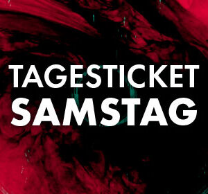 Dong Open Air 2026 Tagesticket Samstag